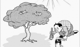 性漫画免费,揭秘成人世界的隐秘角落